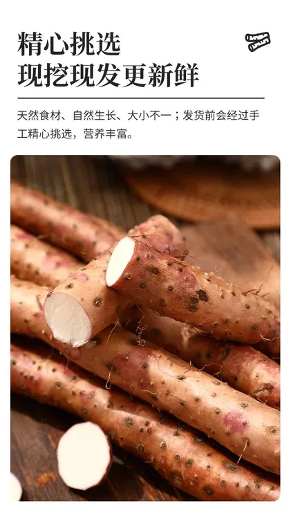 河南焦作铁棍怀山药原产地发货