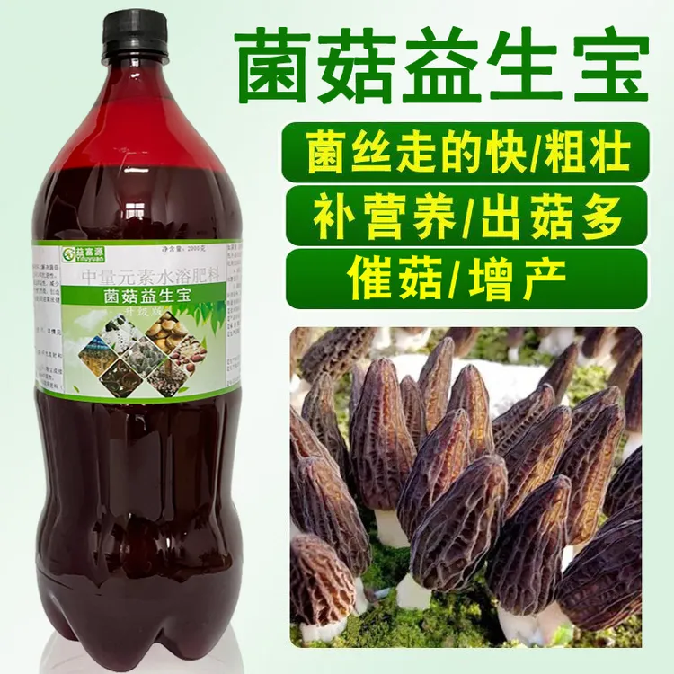 羊肚菌营养液菌菇益生宝催菇多出菇菌丝生长喷雾浇催菇水肥料