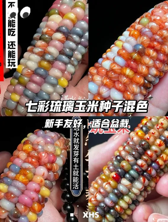 正宗七彩玻璃宝石文玩玉米种籽文玩玉米粒文玩玉米绿植盆栽