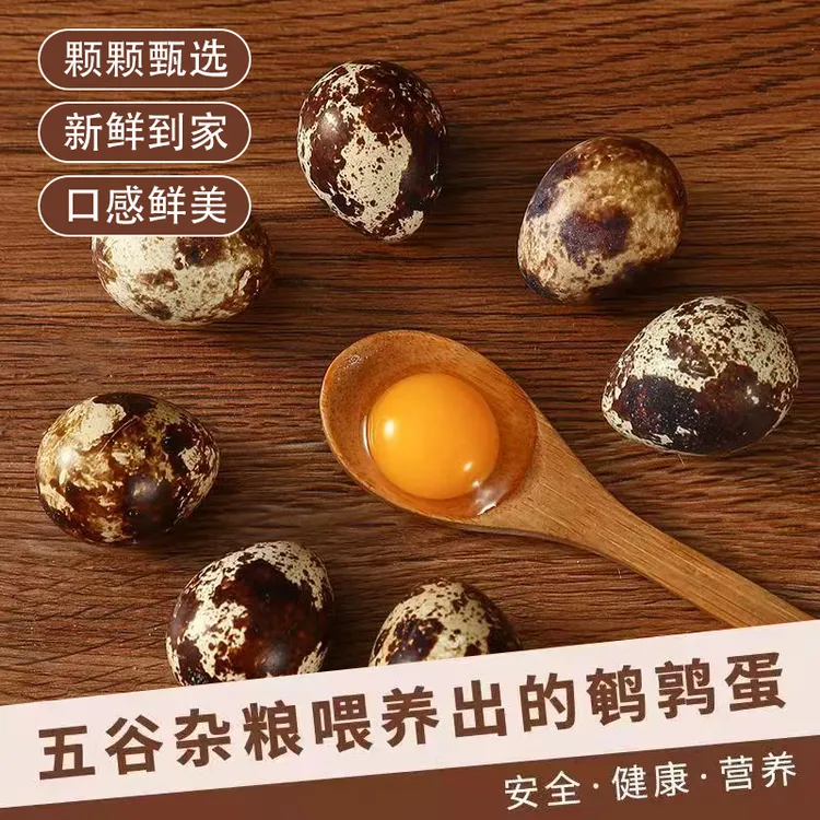 【买25送25】鹌鹑蛋新鲜鸟蛋当天生鲜现捡现发鹌鹑蛋营养鹌鹑蛋生鲜