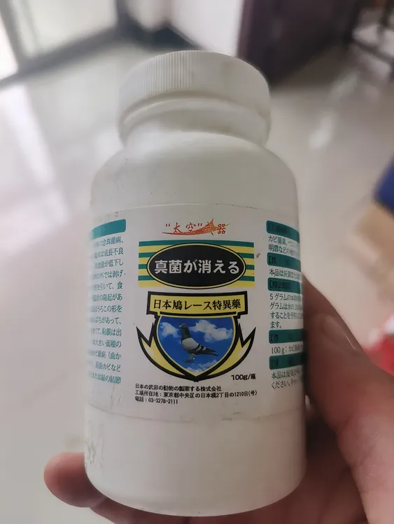 太空真菌，为您的爱鸽保驾护航