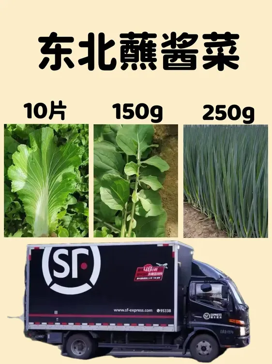 三种蘸酱菜(10片白菜叶，半斤小葱 3两臭菜。)顺丰空运包邮