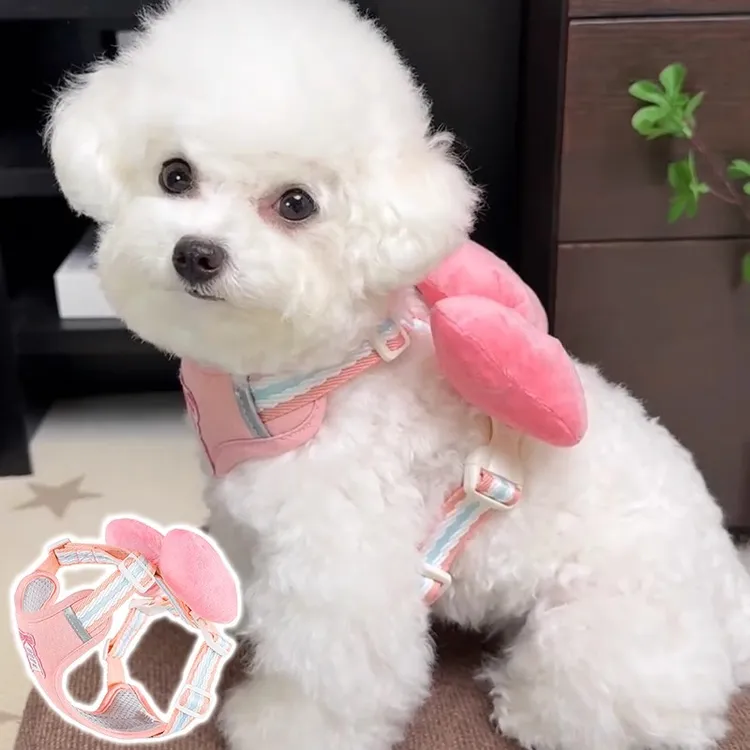 小狗狗牵引绳小型犬背心式比熊泰迪蝴蝶结宠物背带防挣脱遛狗绳子