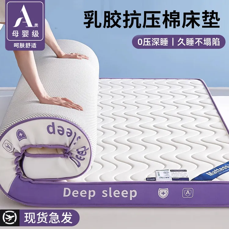 泰迪熊乳胶抗压棉床垫遮盖物软垫家用卧室宿舍学生单人榻榻米床垫