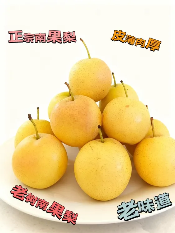 普通果-正宗鞍山老树农产品南果梨皮薄水果梨子新鲜