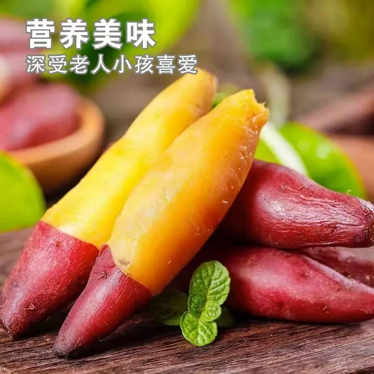【虞裕府】沙地小香薯软糯香甜5斤生鲜食品