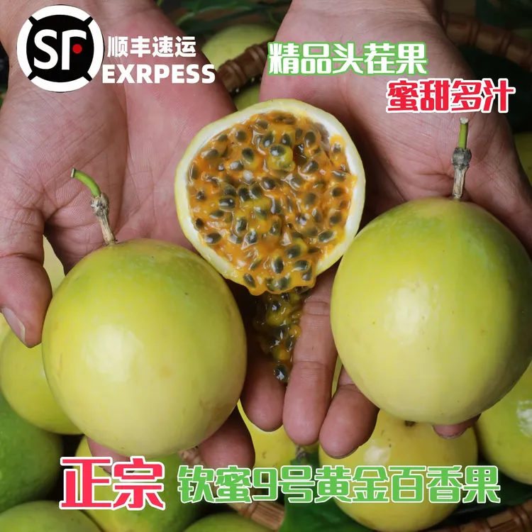 【顺丰发货】钦蜜9号黄金百香果高山现采头茬鲜果蜜香云南百香果