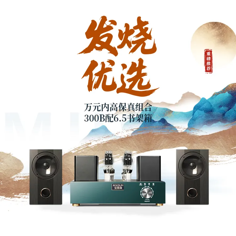 300B胆机同轴6.5寸书架箱发烧友HIFI级音箱电子管功放机套装