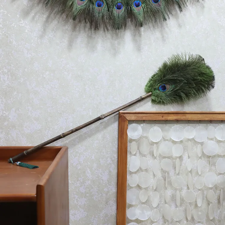 高档复古紫竹防静电家用鸵鸟孔雀除尘掸子加密清洁扫灰神器