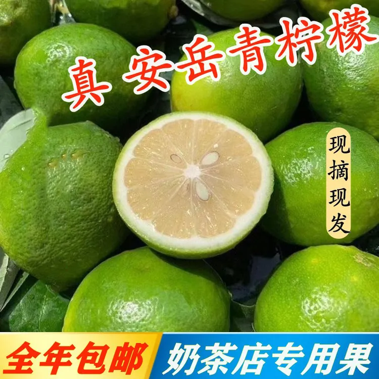 2025四川安岳有籽香水青柠檬新鲜现摘现发多汁当季水果奶茶店专用