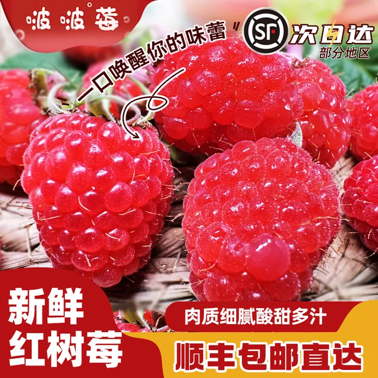 【啵啵莓】宁夏鲜果覆盆子礼盒*2盒 顺丰包邮 新鲜现摘现发