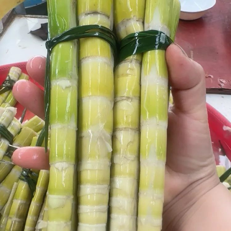 新鲜高山绿笋脆嫩小笋尖可以炒豆鼓