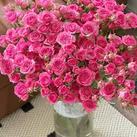 【10枝  苏菲宝贝】 全场鲜花任意满两单升级顺丰 送货上门