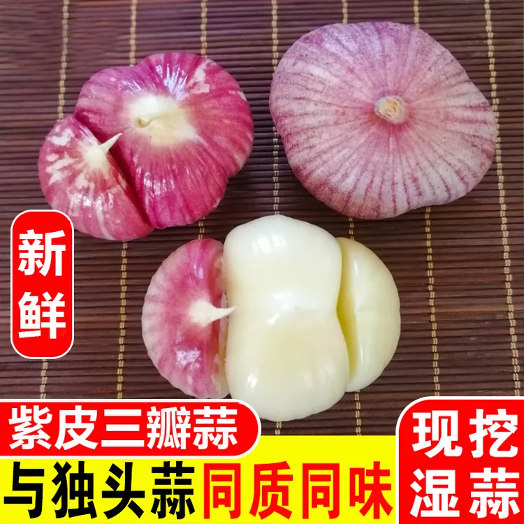 云南正宗紫皮大蒜新鲜三瓣蒜大蒜头批发鲜蒜三丫蒜与独蒜同味蔬菜