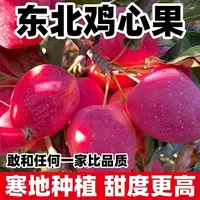 东北特产鸡心果锦绣海棠果冰糖心小苹果新鲜采摘脆甜多汁