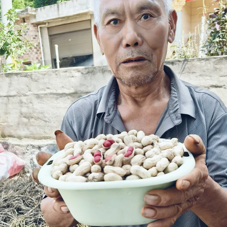 农家自种新鲜干花生小籽红皮两粒干花生无添加