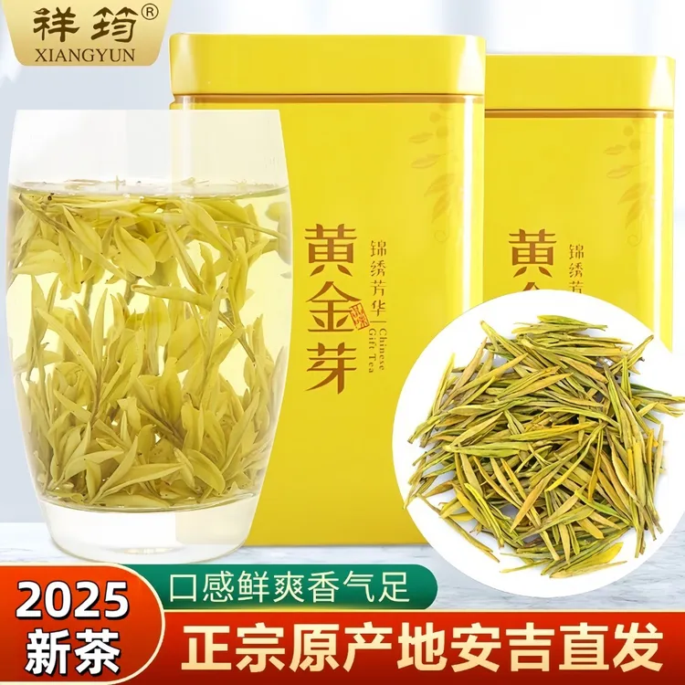 安吉黄金芽茶叶2025新茶特级明前白茶正宗春茶绿茶送礼官方正品