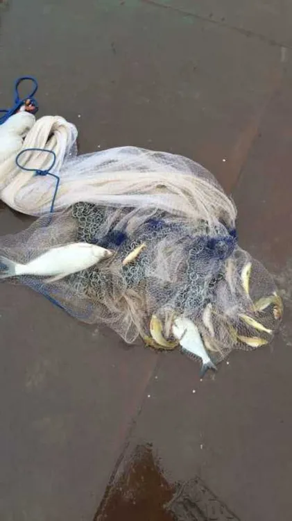 乐水渔网撒网出口韩国的圆铁链传统锦纶丝线手抛网旋网抡网捞鱼虾