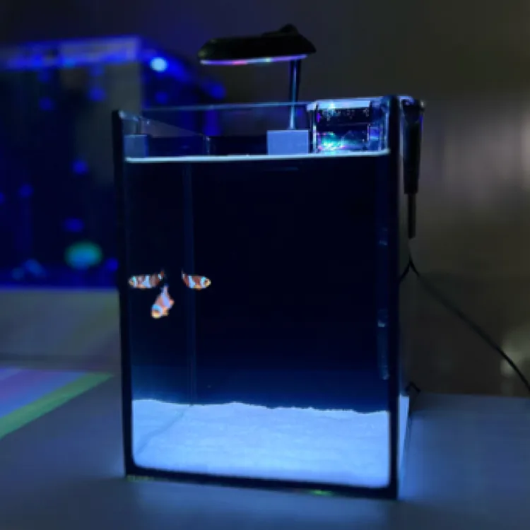带鱼带缸超白玻璃迷你海缸小丑鱼缸淡水海水通用缸