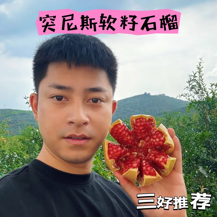 三好推荐-会理突尼斯软籽石榴（爆甜多汁）顺丰