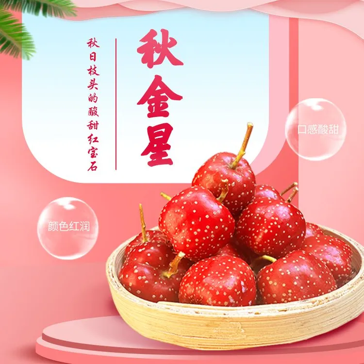兴隆特产 水果山楂 秋金星 酸甜适中3斤/5斤