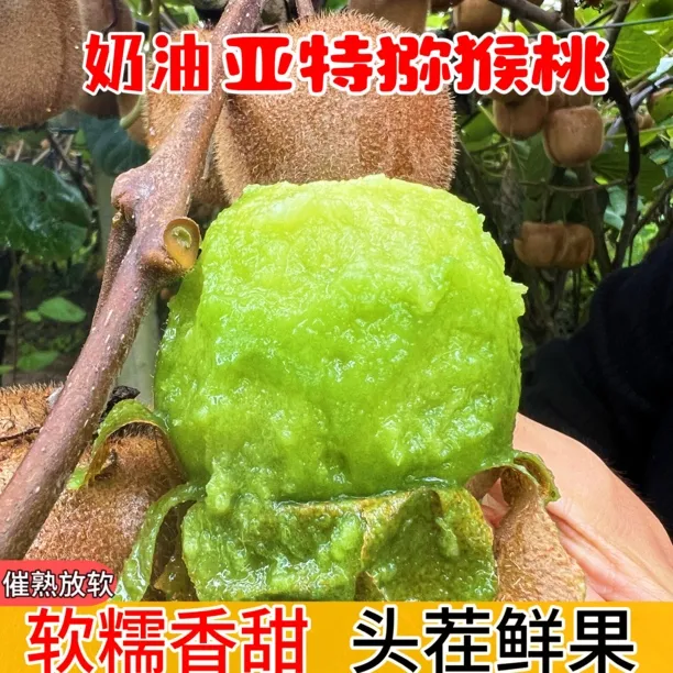 【奶油亚特猕猴桃】陕西正宗亚特绿心猕猴桃 新鲜采摘 软糯香甜
