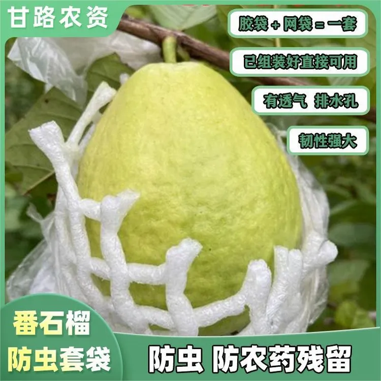 番石榴套袋网袋芭乐防虫网袋专用一体泡沫包装袋石榴袋水果网套
