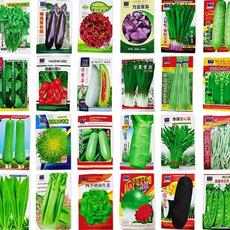 适合秋冬种植香菜菠菜草莓辣椒生菜种孑阳台秋天蔬菜种子