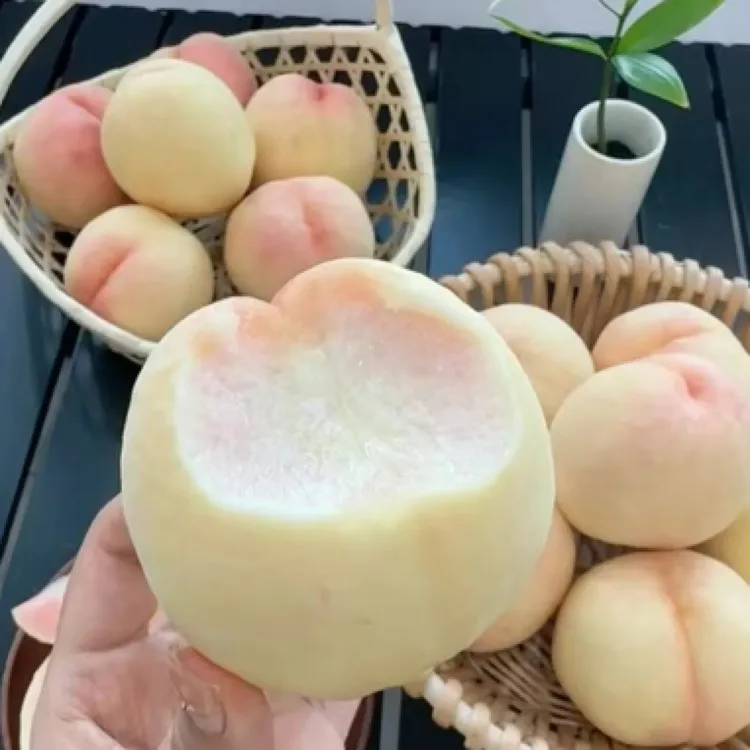 观梧优选蒙阴白桃还原食物本来味道