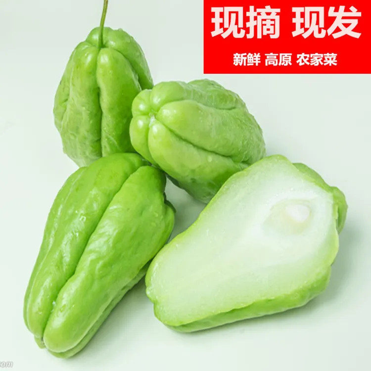 现摘云南佛手瓜福寿瓜洋茄子新鲜蔬菜农家洋捧瓜土耳瓜扶