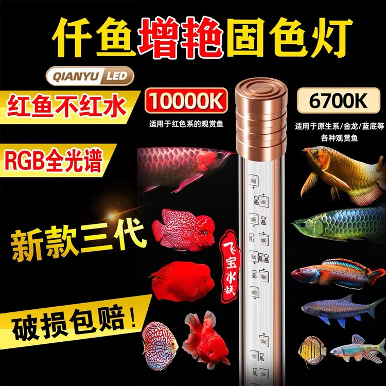 仟鱼神灯龙鱼增艳增色金龙红龙灯潜水防水led鱼缸灯6700K-10000K