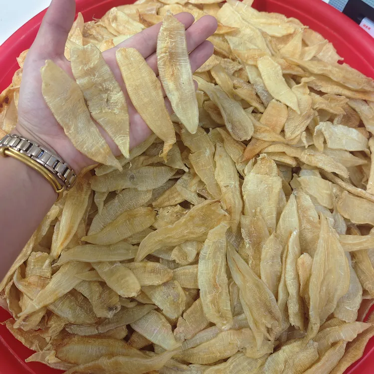 ［精选420金龙胶］条条雅煮甜品炖汤煮汤