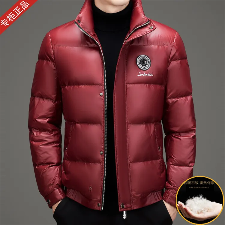 2025秋冬季新款立领白鸭绒男士时尚羽绒服时尚高档免洗保暖外套潮
