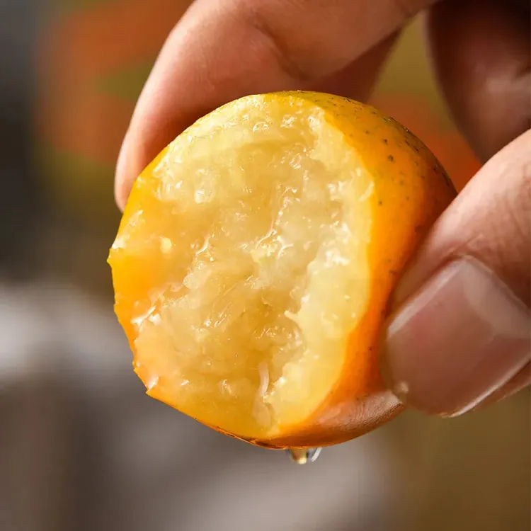 【叁叁专属】【一号林】广西脆蜜金柑甜蜜新鲜现发1/2/3斤装（独立包装）