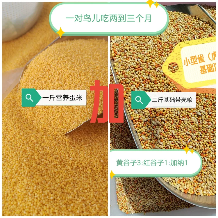 新朋友套餐[一斤营养蛋米➕二斤基础带壳粮]适合珍珠鸟虎皮鹦鹉