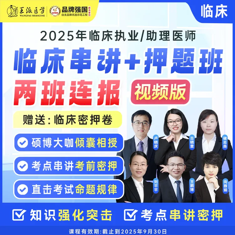 考点串讲班（视频课）/考前押题班/两班连报、25年医师各科
