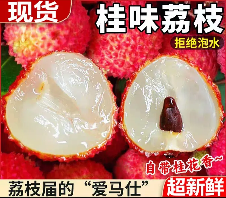 （广东省内拍）包邮正宗老树茂名桂味荔枝新鲜现摘当季水果