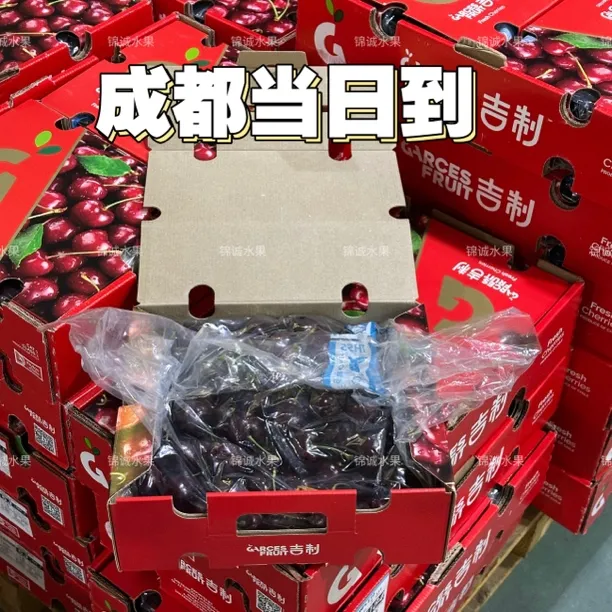 智利空运5J桑提娜车厘子原装礼盒5斤SANTINA新鲜水果内附果径卡