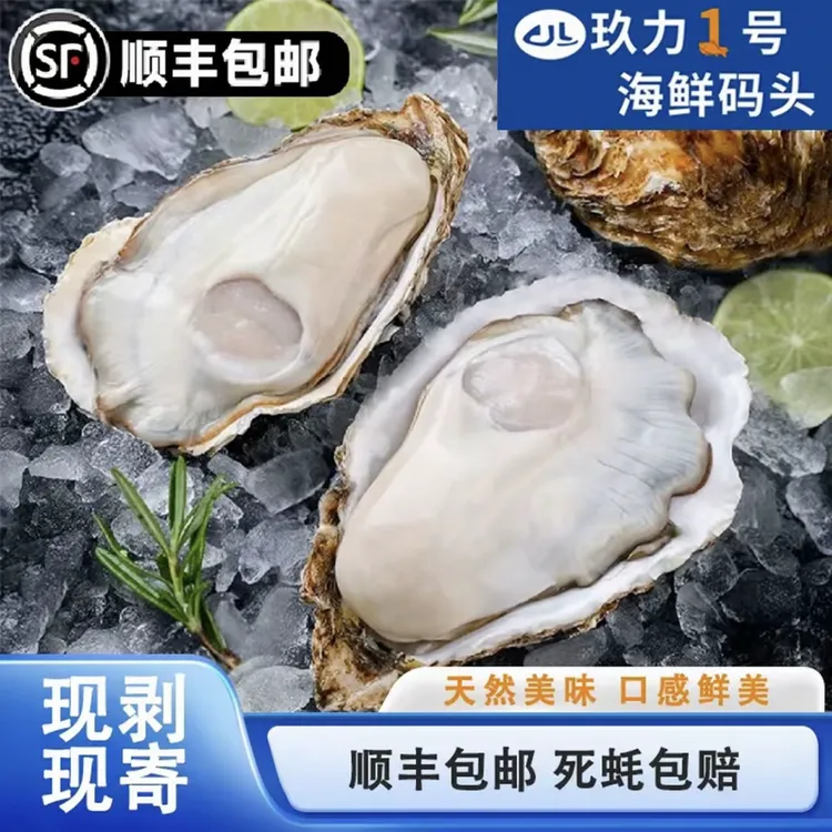 【顺丰鲜活直达】精品4+乳山生蚝4-6斤/乳山生蚝肉10只一罐