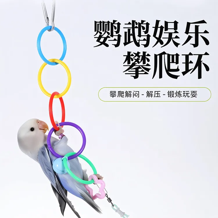 鹦鹉彩色吊环秋千鸟用啃咬玩耍解闷训练攀爬牡丹玄凤鹦鹉玩具用品