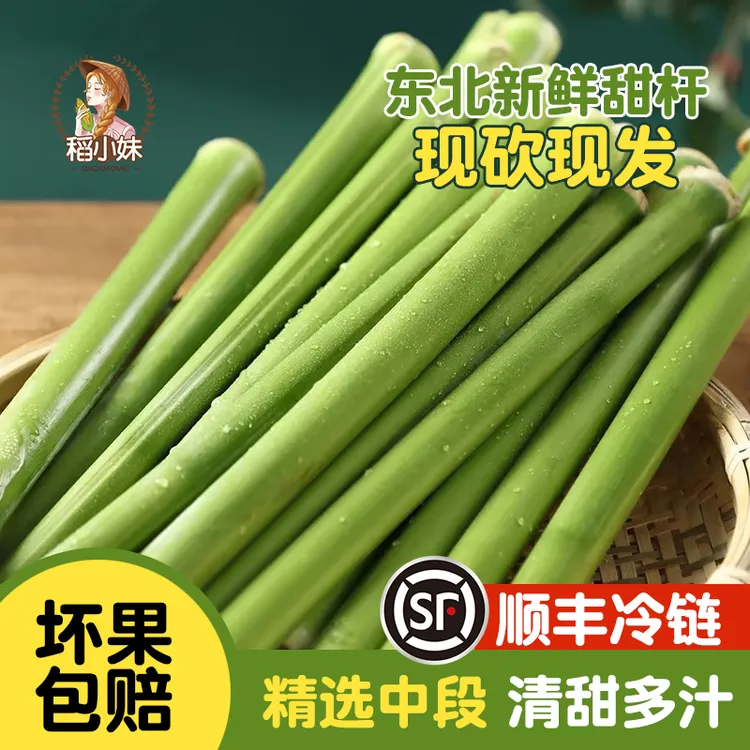 顺丰冷链东北新鲜甜杆甜芦粟农家甜高粱青皮小甘蔗新鲜水果