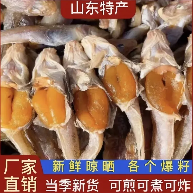 咸鱼6成干带籽狗光鱼寿光羊口籽多狗杠鱼油狗光爆籽爆香码头直发