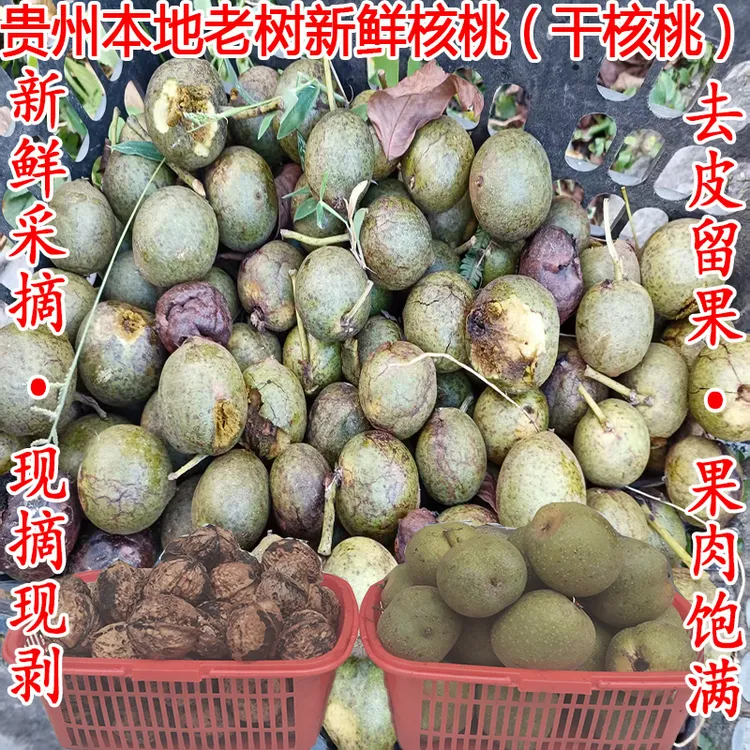 贵州紫云正宗本地老树山核桃新鲜采摘现摘现剥