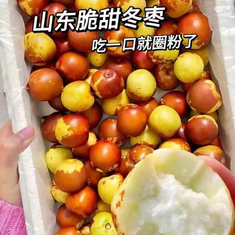 沾化冰糖冬枣现摘现发新鲜脆甜当季水果