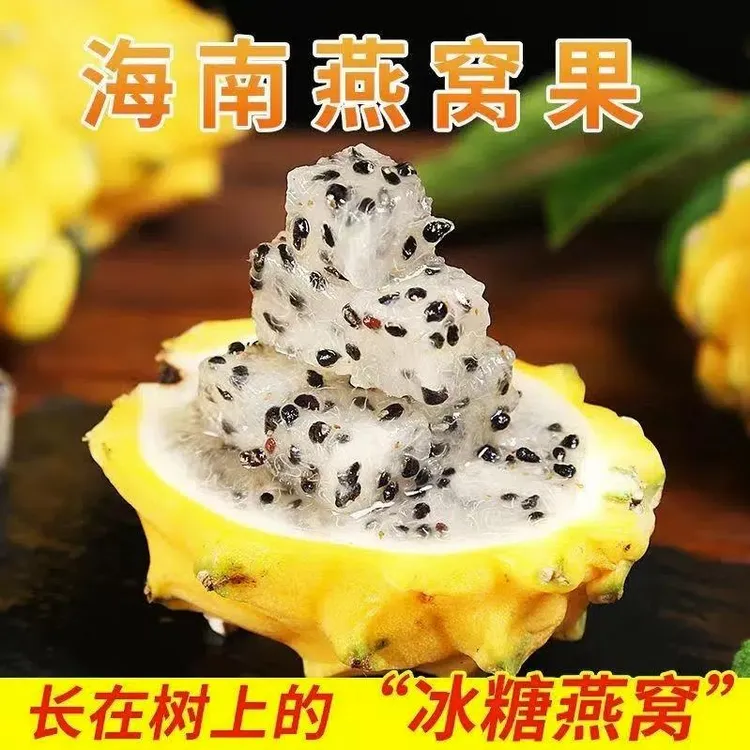 【产地直发】海南山野燕窝果麒麟果黄色皮火龙果热带特产新鲜水果