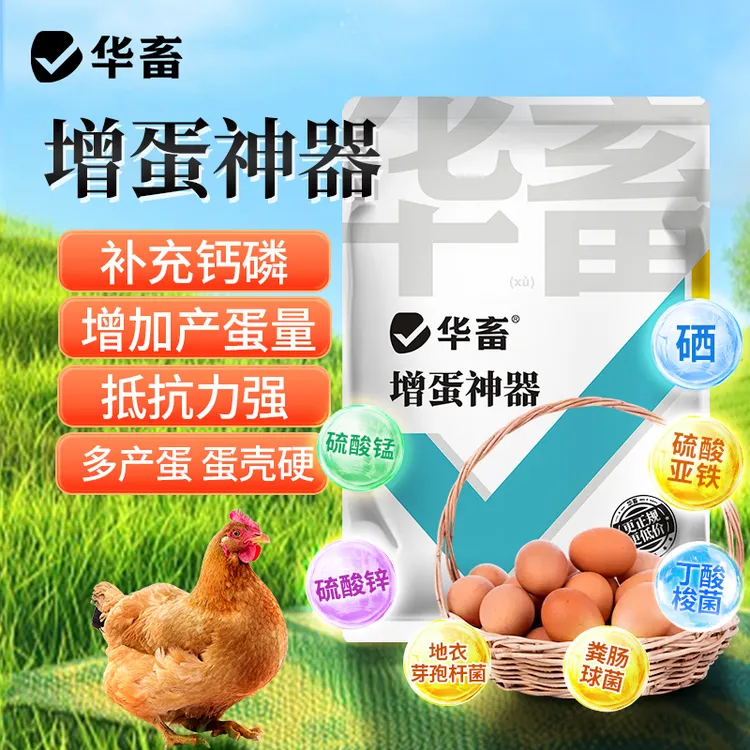 增蛋宝蛋禽饲料添加剂蛋多多催蛋多下蛋延长产蛋期鸡鸭鹅增蛋神器
