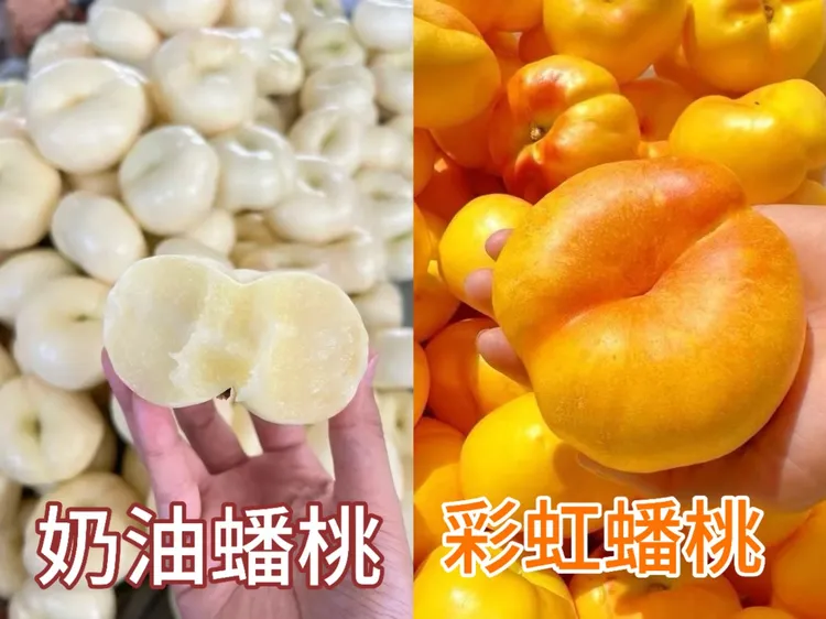 正宗蒙阴露天种植彩虹黄金油蟠桃奶油蟠桃毛蟠桃皮薄肉厚甜嫩多汁