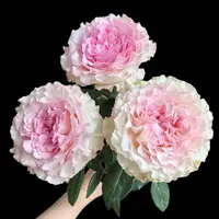 七叶花坊#单头玫瑰 【洛神】鲜花优选 顺丰直发 修剪养护