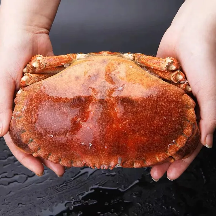 【顺丰】黄道蟹熟冻(清蒸，红烧，咖喱，盐焗，辣生鲜炒)