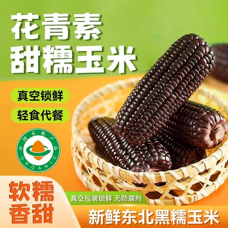头茬东北香甜黑糯玉米新鲜采摘颗粒饱满